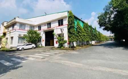 Chào Tháng 11 – Tháng của Năng Lượng Mới! 